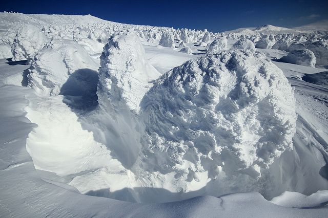 e0137200_2031194.jpg