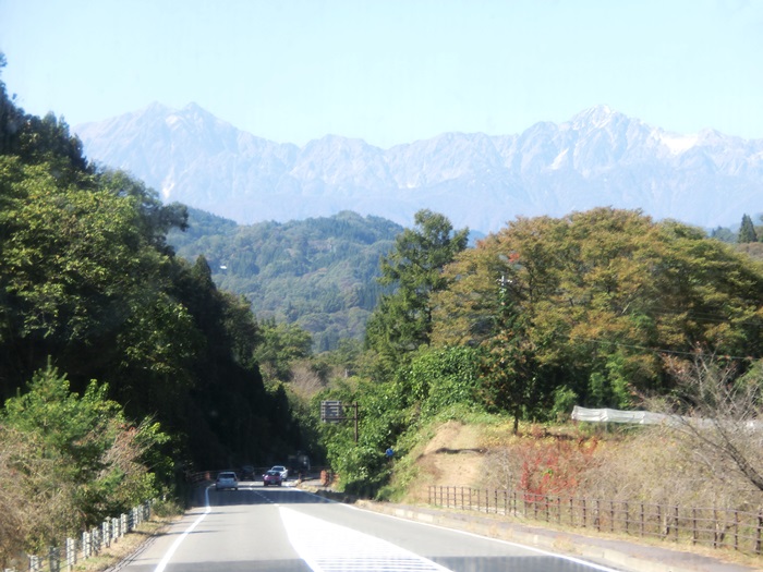 d0004301_1021787.jpg