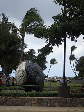 a0310405_02584944.jpg