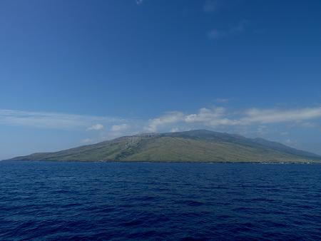 a0310405_10300094.jpg