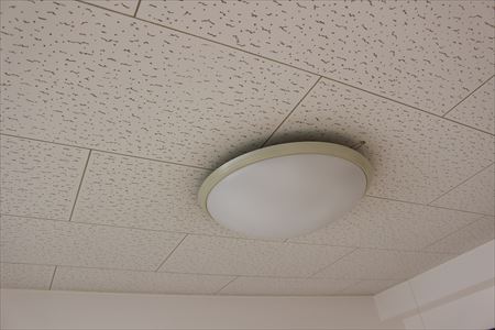 e0180405_1784248.jpg