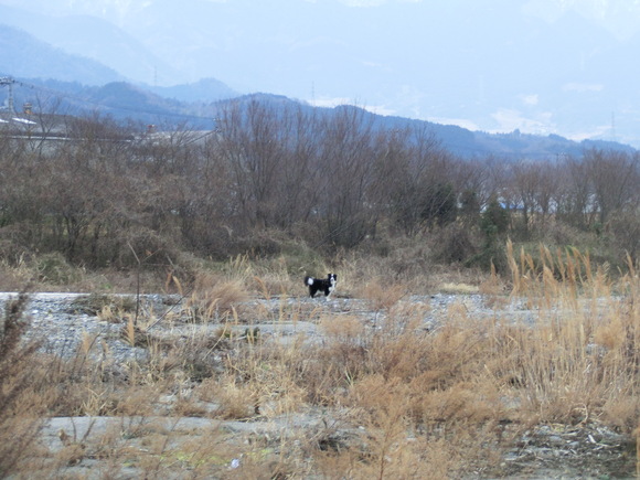b0239909_2102196.jpg