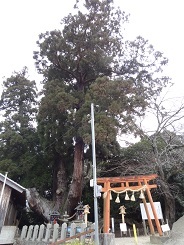 f0000521_11190957.jpg