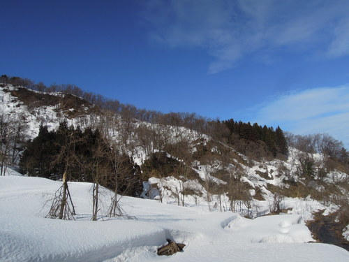 e0147226_1611031.jpg