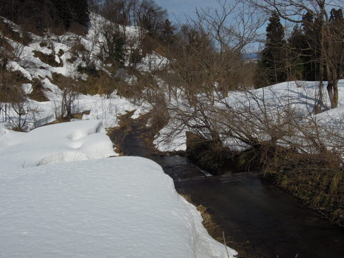 e0147226_1672064.jpg
