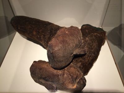 e0300027_22491294.jpg