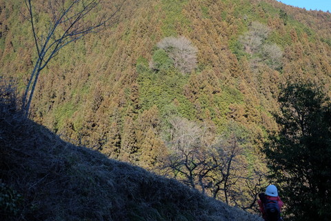 b0281732_1712162.jpg
