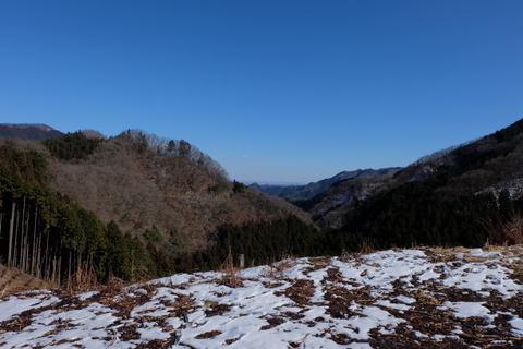 b0281732_17181532.jpg