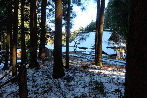 b0281732_17203911.jpg