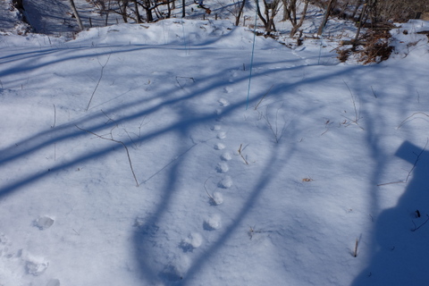 b0281732_17214536.jpg