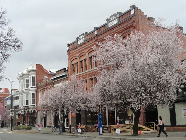 f0238932_17105339.jpg