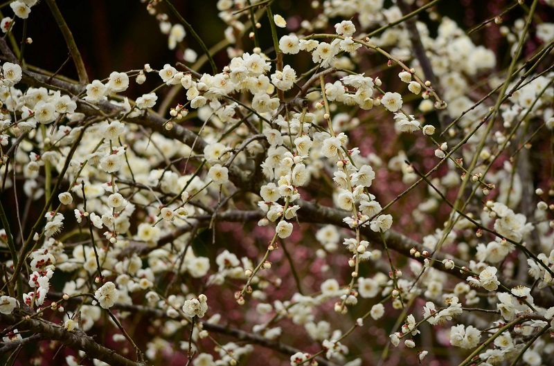 b0288942_0343940.jpg