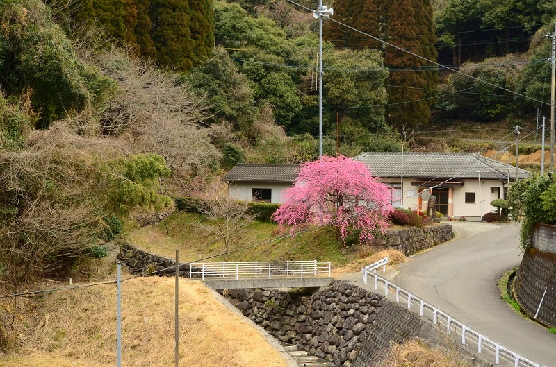 b0288942_0455641.jpg