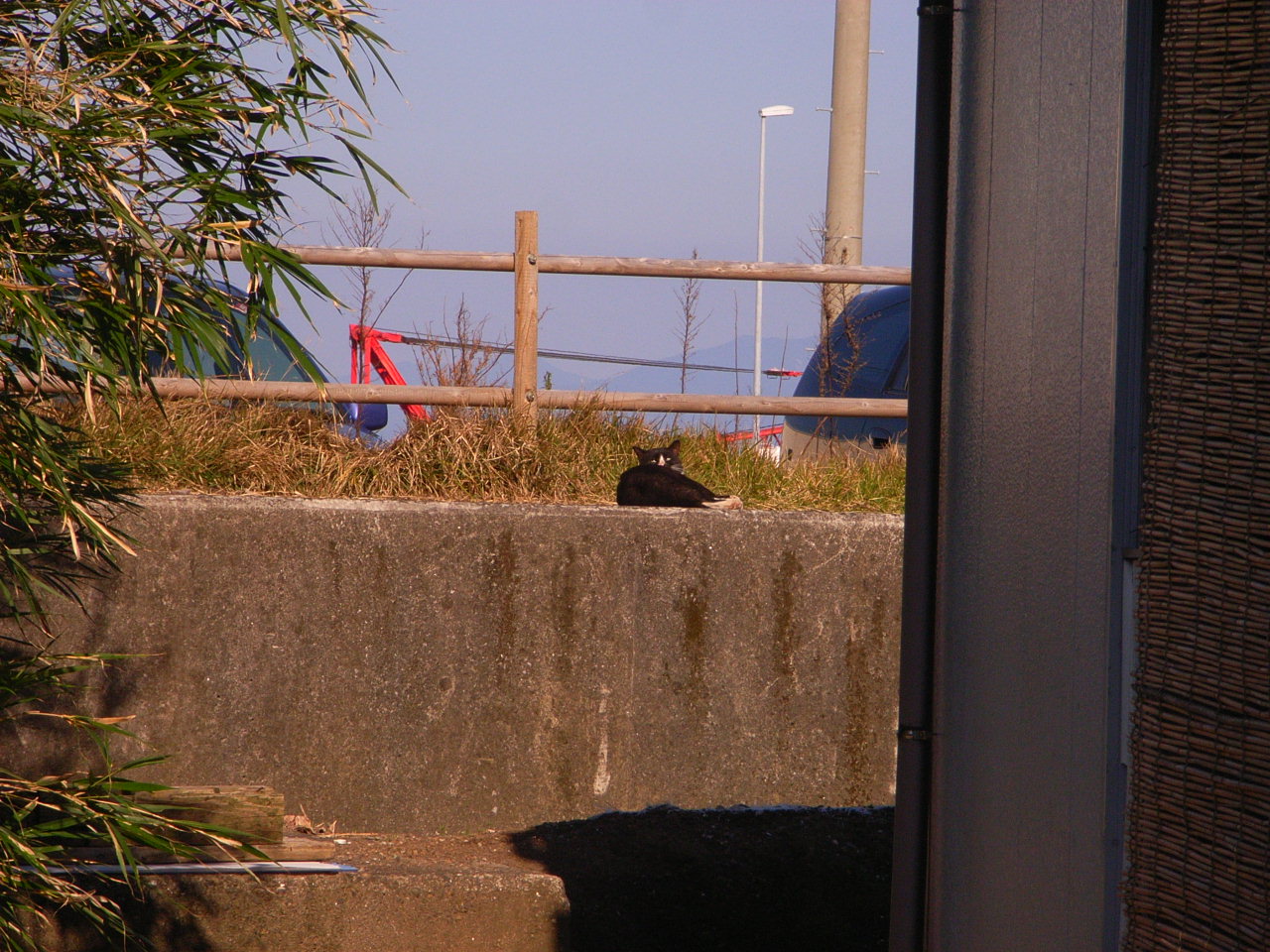 f0257756_2256179.jpg