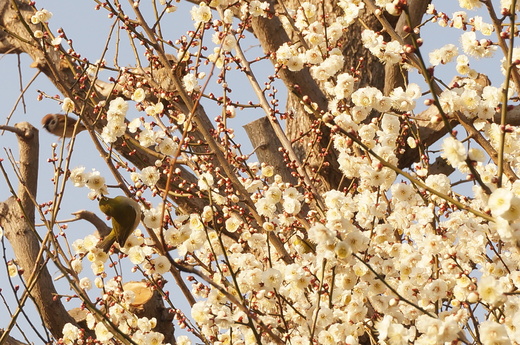 f0257756_249732.jpg