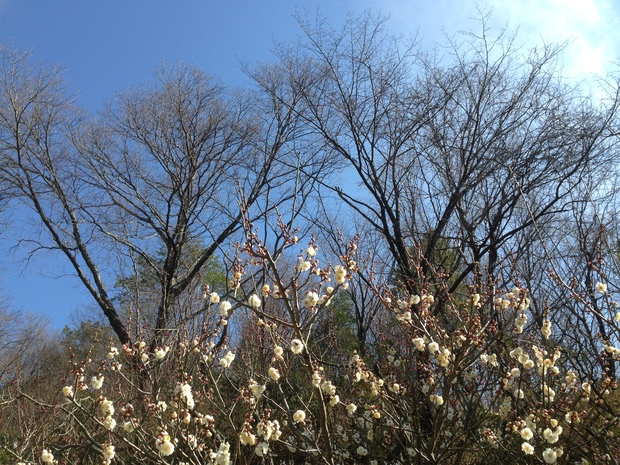 c0046587_23241429.jpg