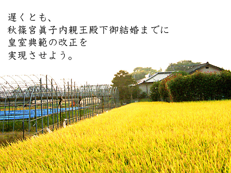 b0133911_17594233.jpg