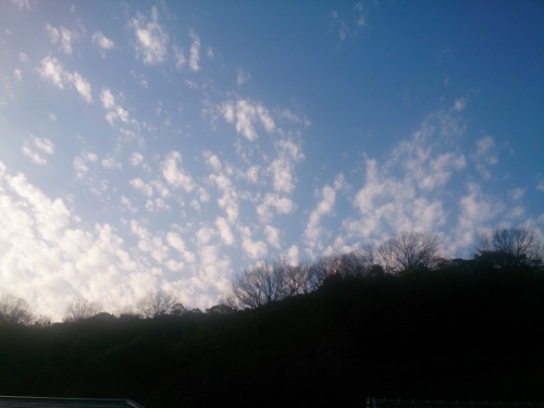 c0352015_18020997.jpg