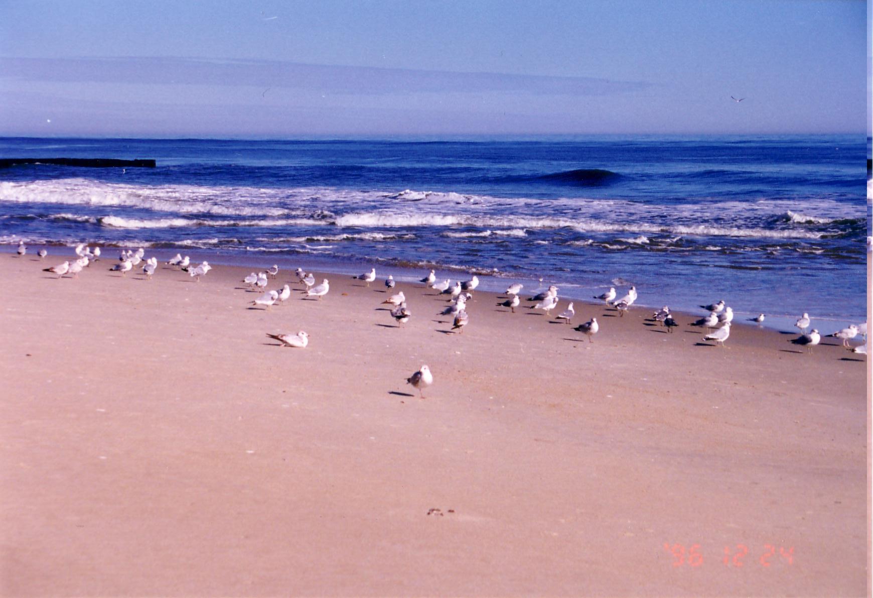 c0328616_10045586.jpg