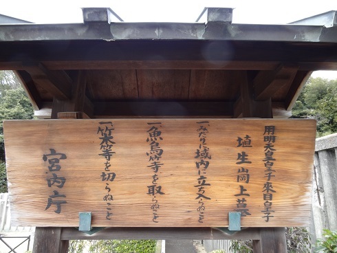 f0000521_21023949.jpg