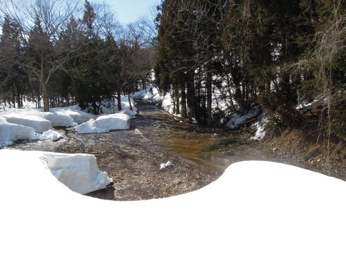 e0147226_21292234.jpg