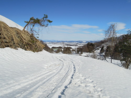e0147226_21354645.jpg