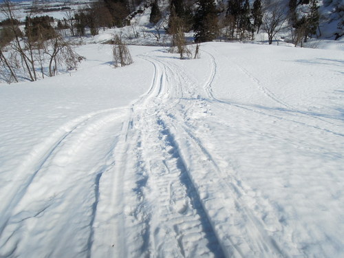 e0147226_21394718.jpg