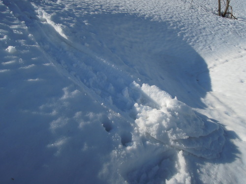 e0147226_21431584.jpg