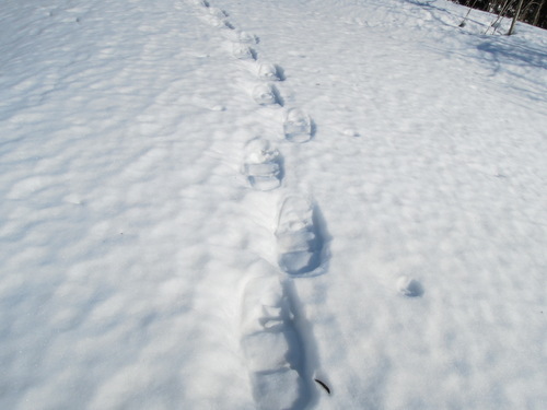 e0147226_2144295.jpg