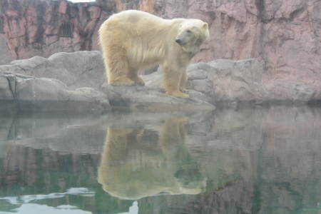 f0344626_01092295.jpg