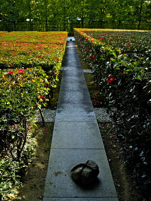 f0315034_13251945.jpg