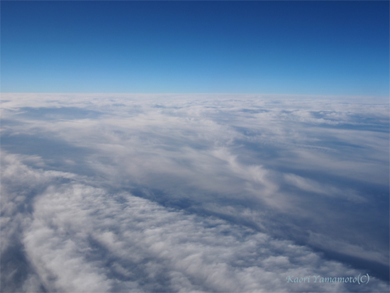 a0095337_030573.jpg