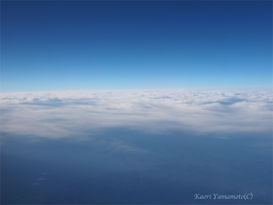 a0095337_0312629.jpg