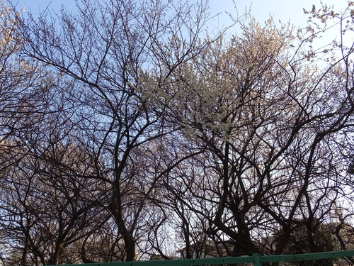 c0122744_192953.jpg