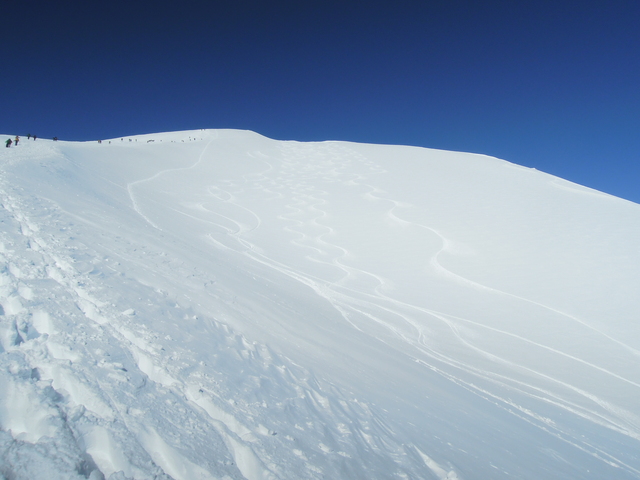 e0329049_1645492.jpg