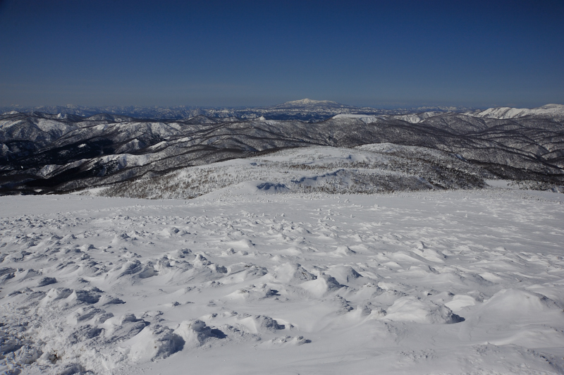 d0169556_20212513.jpg