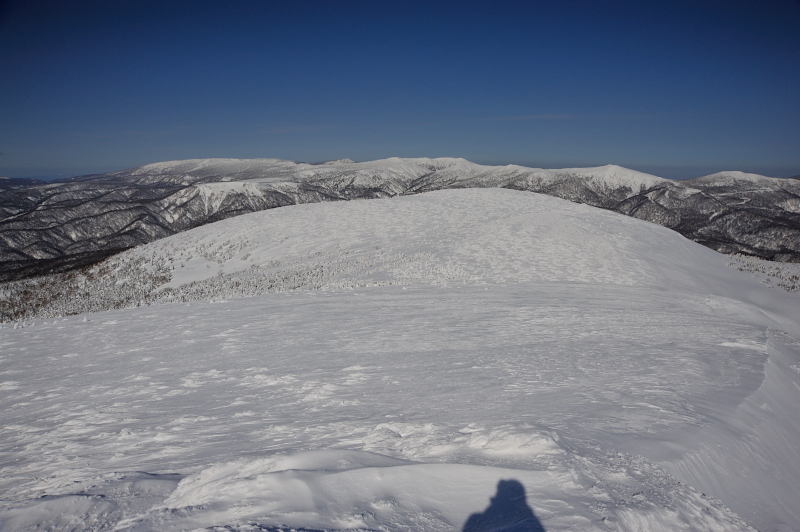 d0169556_2038377.jpg