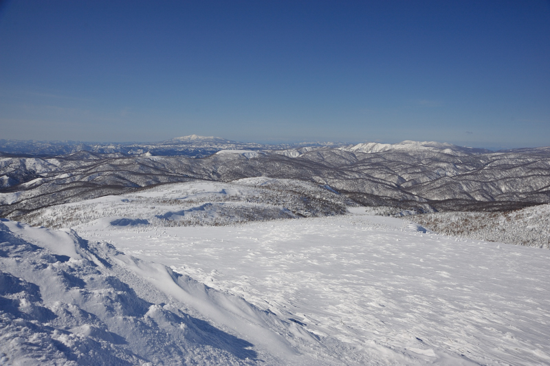 d0169556_20401954.jpg