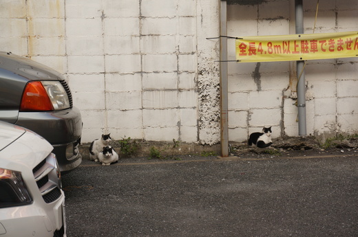 f0257756_0153947.jpg