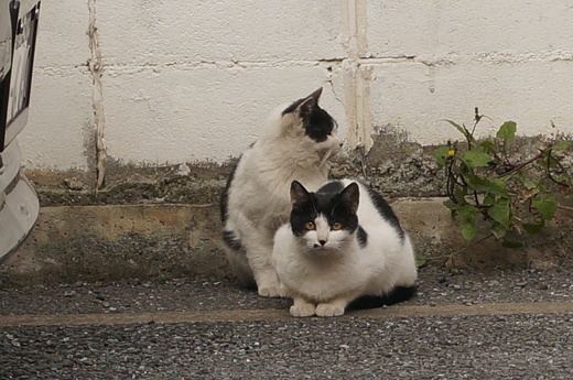 f0257756_01854.jpg