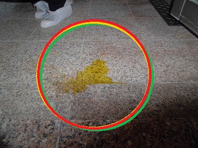 e0002466_18554044.jpg