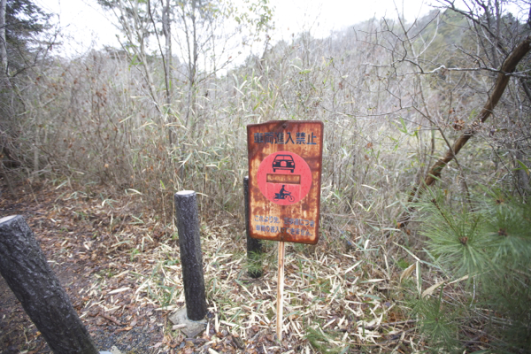 c0163369_1315728.jpg