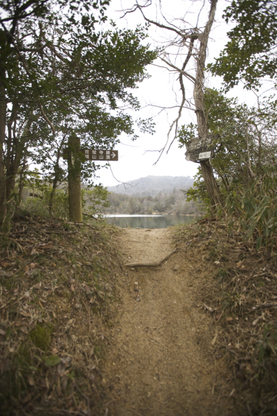 c0163369_132440.jpg