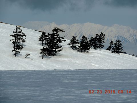 f0104277_20424750.jpg