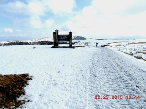 f0104277_20543951.jpg