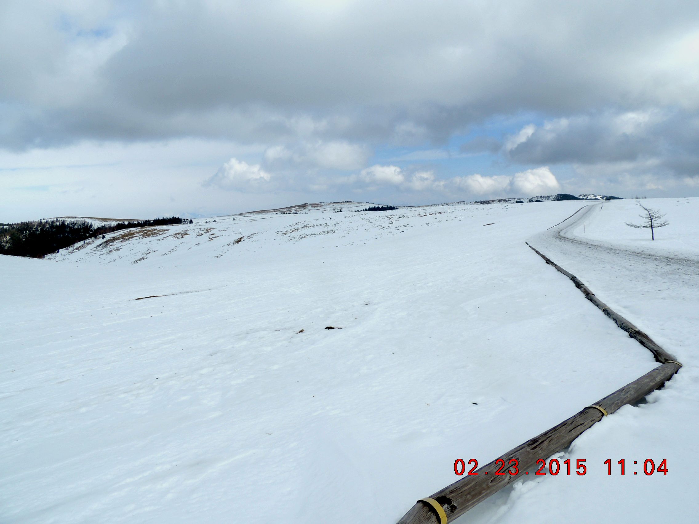f0104277_20553758.jpg