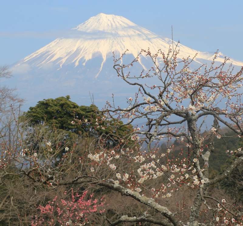 a0188405_22334160.jpg