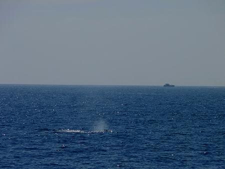 a0310405_01534176.jpg