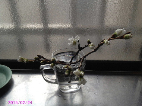a0337807_18580081.jpg