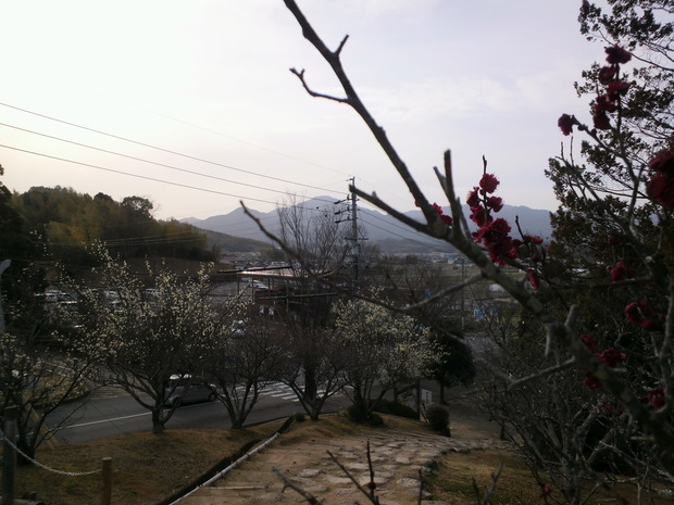 e0099212_2283344.jpg
